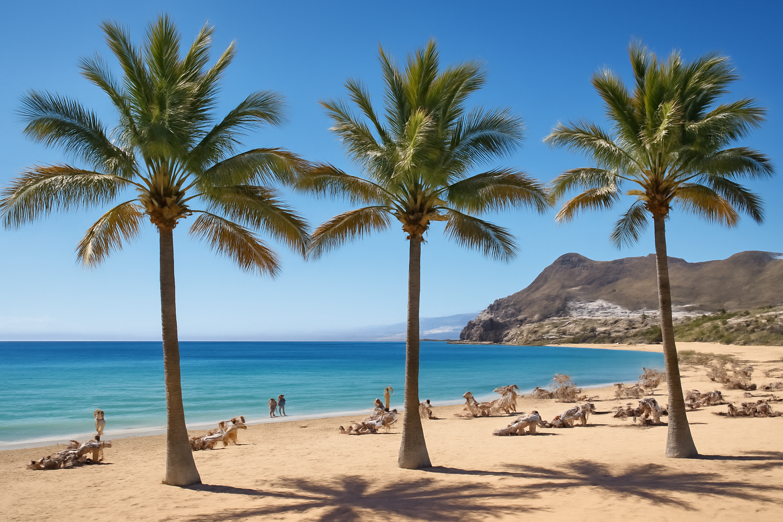 Erfahrungen im Alltag auf Teneriffa: Ein praktischer Leitfaden nach dem Umzug